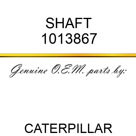 SHAFT 1013867