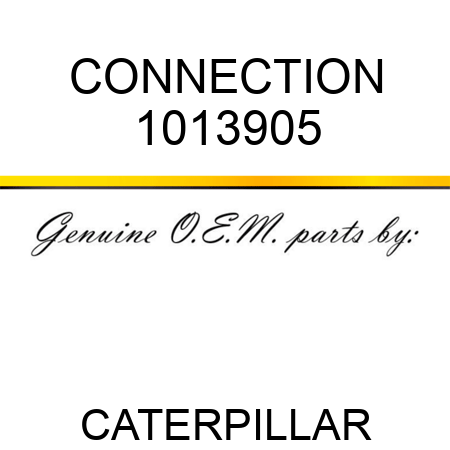 CONNECTION 1013905
