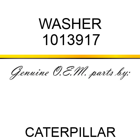 WASHER 1013917