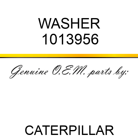 WASHER 1013956