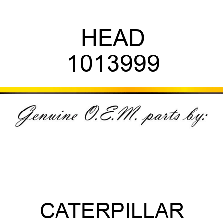 HEAD 1013999