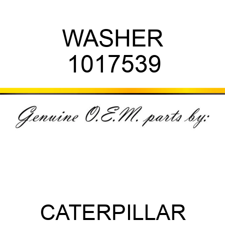 WASHER 1017539