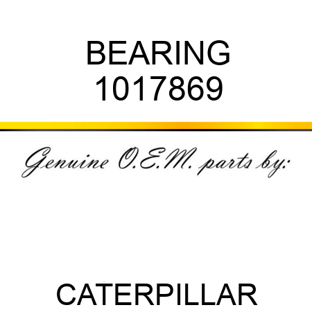 BEARING 1017869