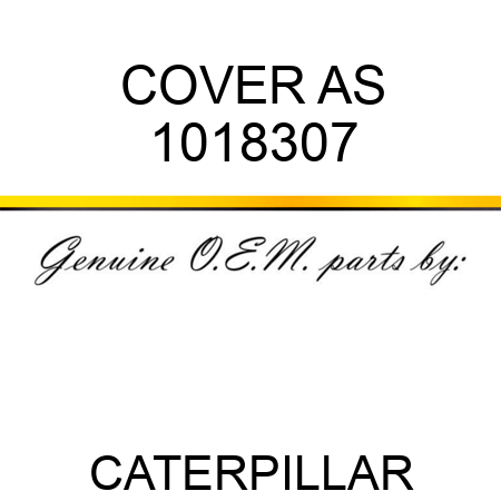 COVER AS 1018307