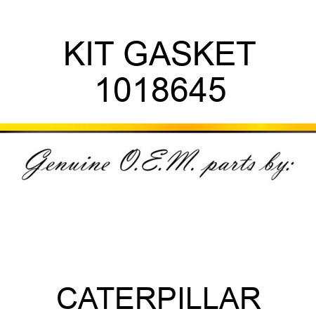 KIT GASKET 1018645