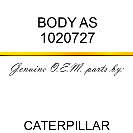 BODY AS 1020727