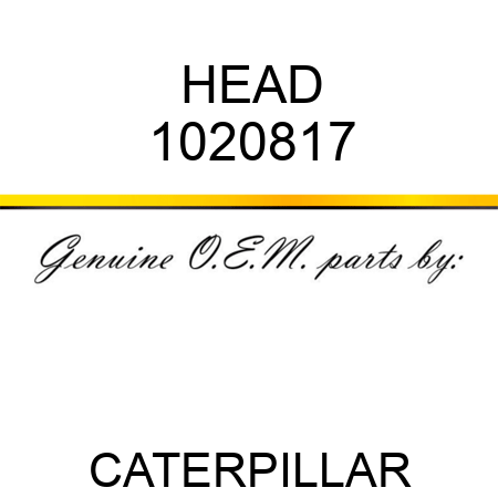 HEAD 1020817