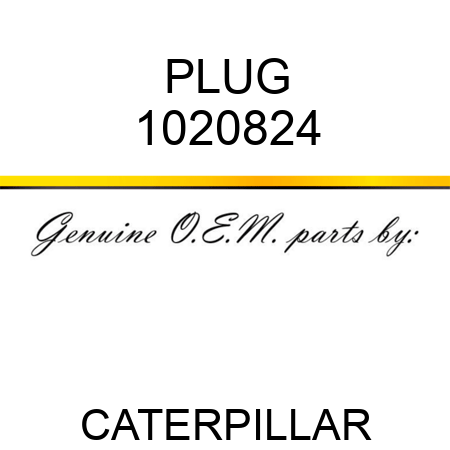 PLUG 1020824
