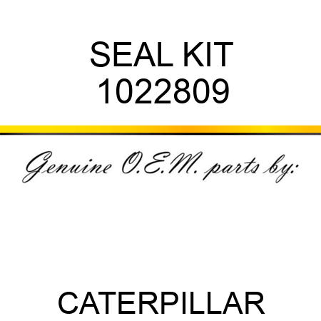 SEAL KIT 1022809