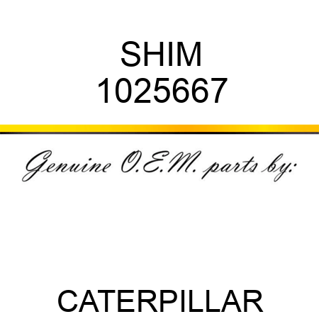 SHIM 1025667
