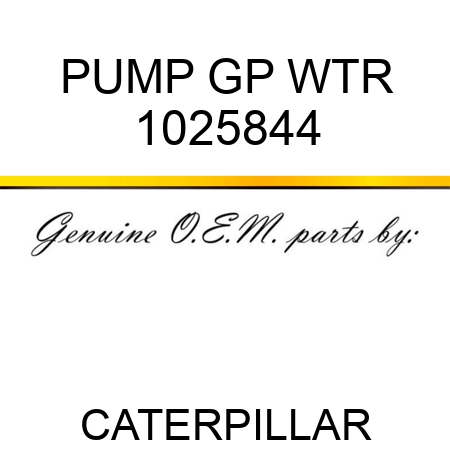 PUMP GP WTR 1025844