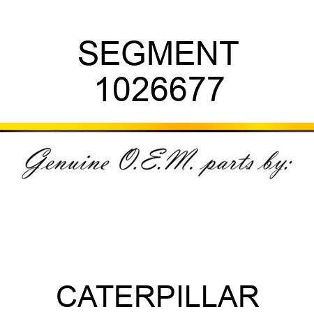 SEGMENT 1026677