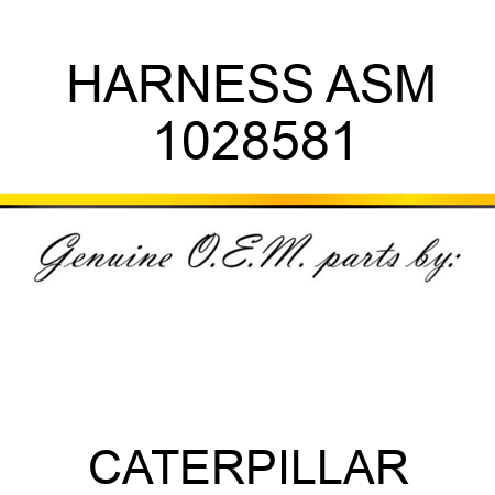 HARNESS ASM 1028581