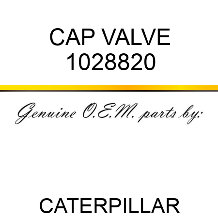 CAP VALVE 1028820