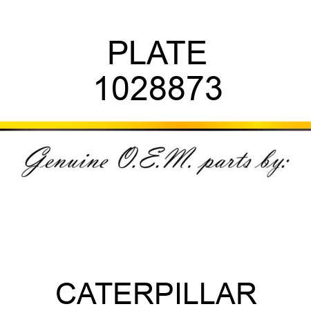 PLATE 1028873
