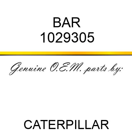 BAR 1029305