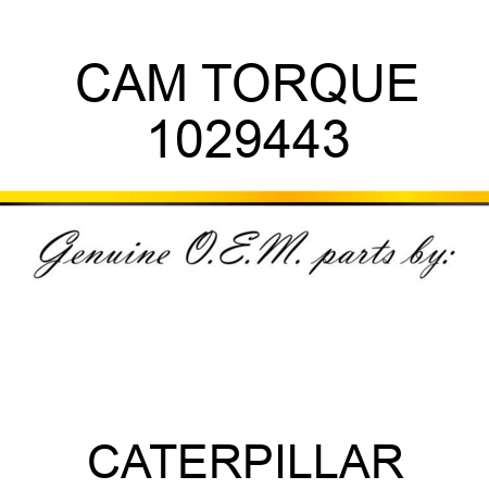 CAM TORQUE 1029443