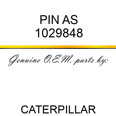 PIN AS 1029848