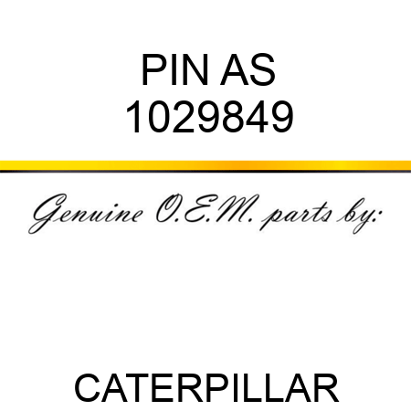 PIN AS 1029849