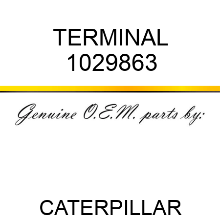 TERMINAL 1029863