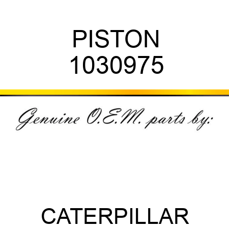 PISTON 1030975