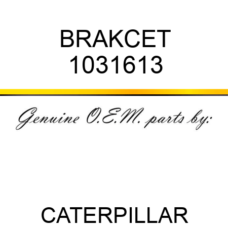 BRAKCET 1031613