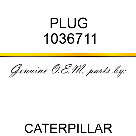 PLUG 1036711