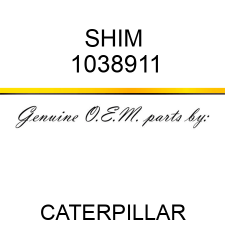SHIM 1038911