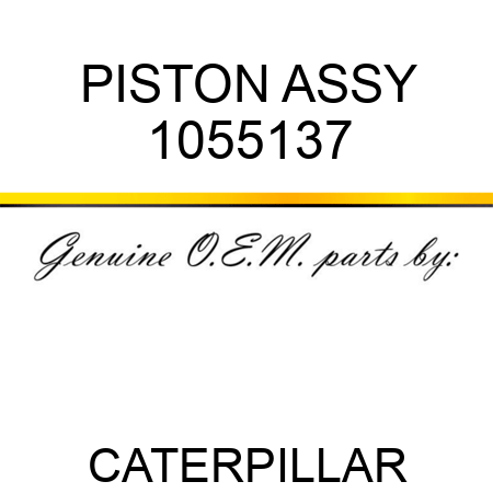 PISTON ASSY 1055137