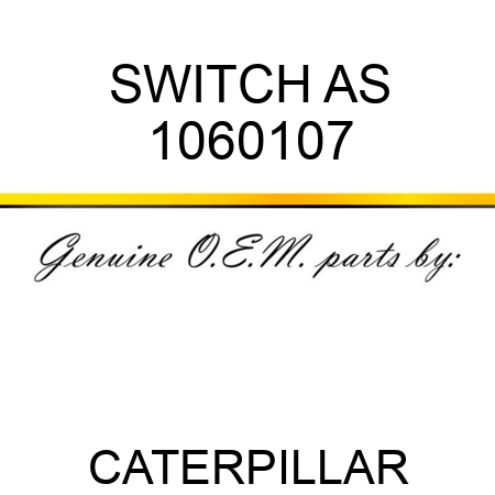 SWITCH AS 1060107