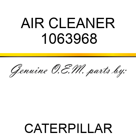 AIR CLEANER 1063968