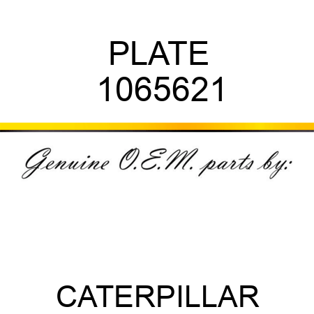 PLATE 1065621