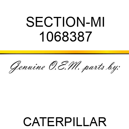 SECTION-MI 1068387