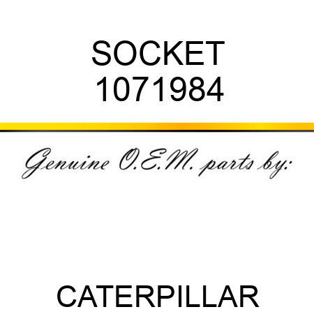 SOCKET 1071984