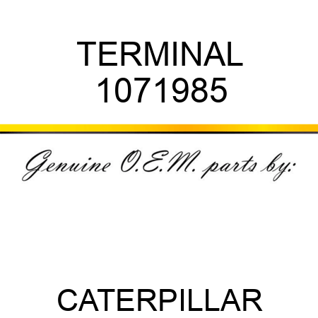 TERMINAL 1071985