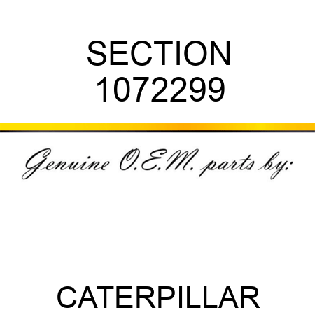 SECTION 1072299