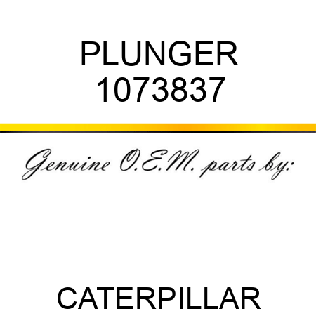 PLUNGER 1073837