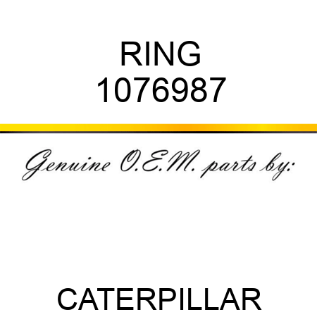 RING 1076987