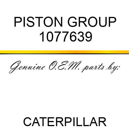 PISTON GROUP 1077639