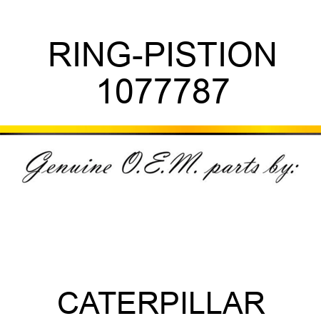 RING-PISTION 1077787