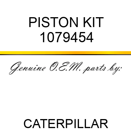 PISTON KIT 1079454