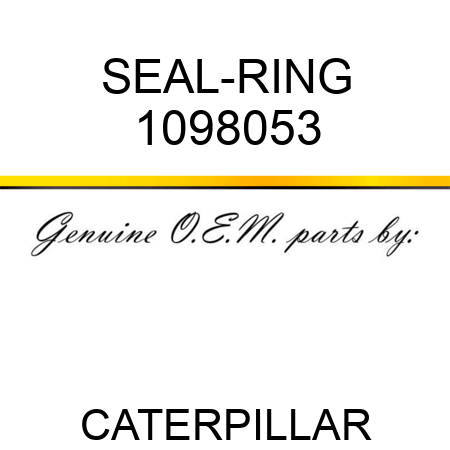 SEAL-RING 1098053