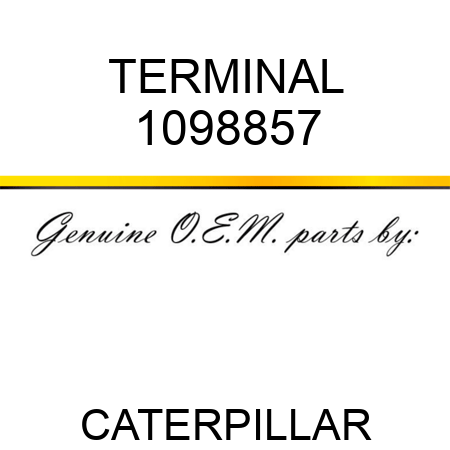 TERMINAL 1098857