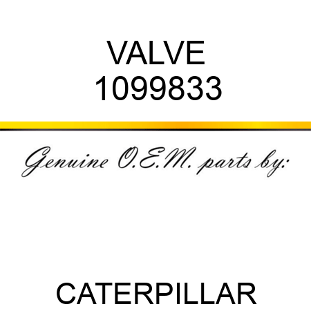 VALVE 1099833