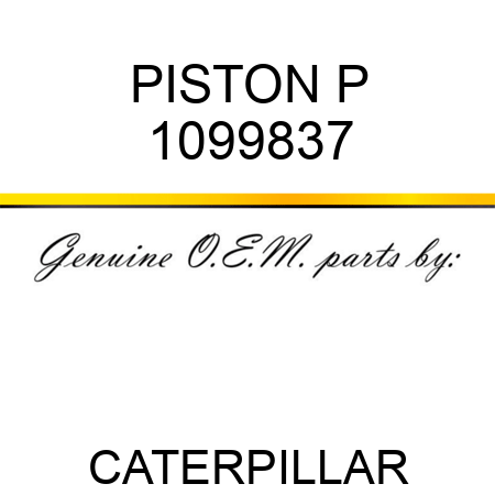 PISTON P 1099837