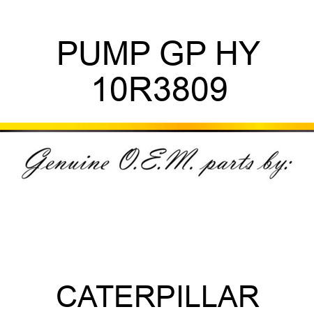 PUMP GP HY 10R3809