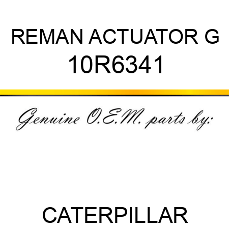 REMAN ACTUATOR G 10R6341