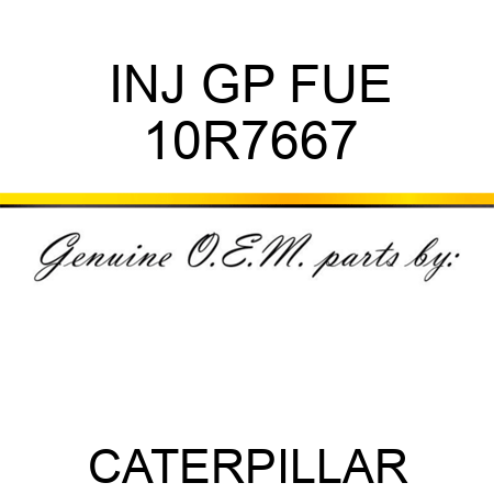 INJ GP FUE 10R7667