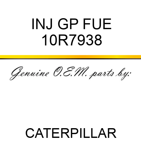 INJ GP FUE 10R7938