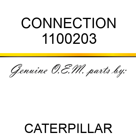 CONNECTION 1100203
